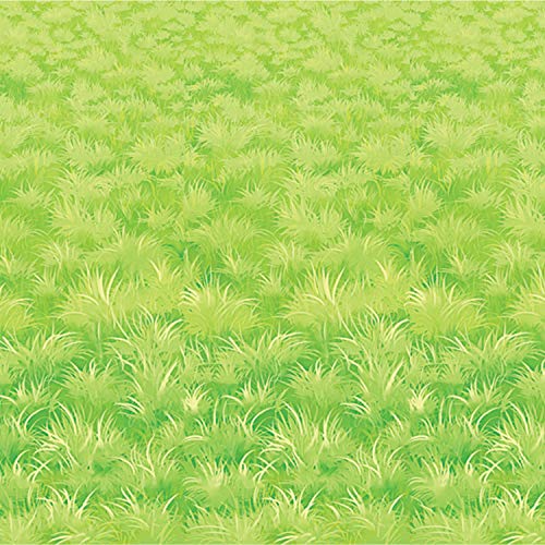 Beistle Printed Plastic Green Meadow Grass Photography Backdrop Princess Theme Decorations Birthday Party Photo Booth Background, 4&