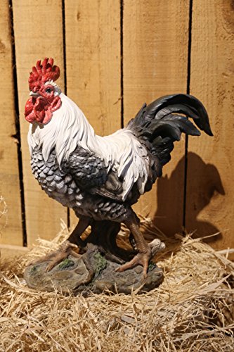 Hi Line Gift 87961-WT Black/White Rooster Statue