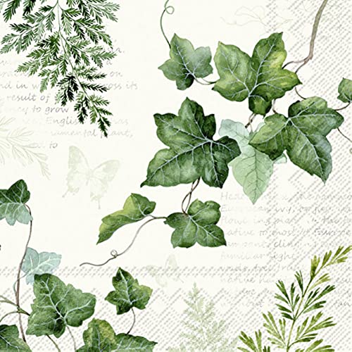 Boston International IHR Ideal Home Range - Paper Napkins ELWIN cream 20-Count 3-Ply Lunch Napkins 6.5 x 6.5 inches