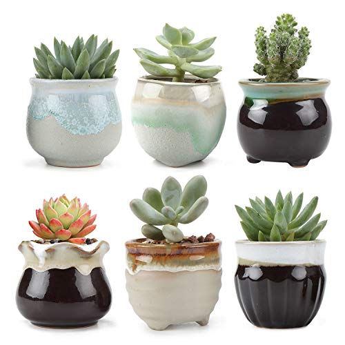 T4U 2.5 Inch Ceramic Flowing Glaze Black&White Succulent Plant Pot Cactus Plant Pot Flower Pot Container for Christmas and Birthday Gifts and Home Decoration, Pack of 6(Excluding Plants)
