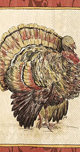 Boston International IHR 3-Ply Guest Towel Buffet Fall Autumn Halloween Thanksgiving Paper Napkins, 16-Count, Painterly Turkey
