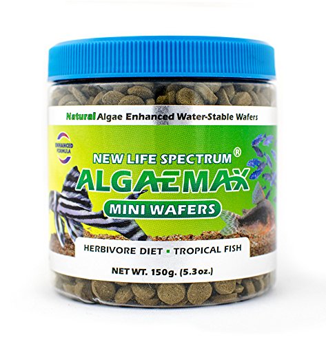 New Life International AlgaeMax Mini-Wafers 150g (Naturox Series)