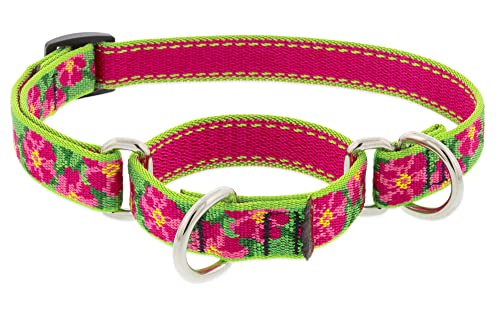 Lupine Pet Martingale Dog Collar 3/4" Wide Petunias Adjusts from 14" to 20"
