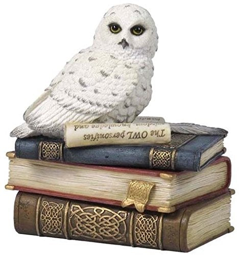 Unicorn Studio 4.75 Inch Snow Owl on Books Decorative Trinket Box, White Color
