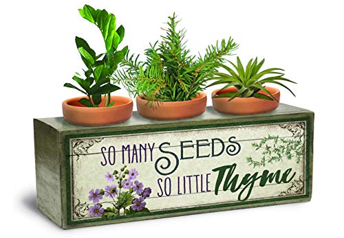 Divinity So Many Seeds Three Pot Floral Purple 10 x 4 Wood Standing Planter Seedling Box