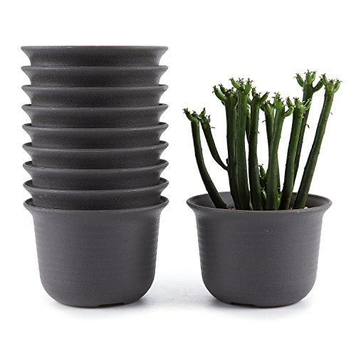 T4U 3.5 Inch Plastic Round Plant Pot/Cactus Flower Pot/Container Brown Set of 10,Seeding Nursery Planter Pot with Drainage for Flowers Herbs African Violets Succulents Orchid Cactus Indoor Outdoor