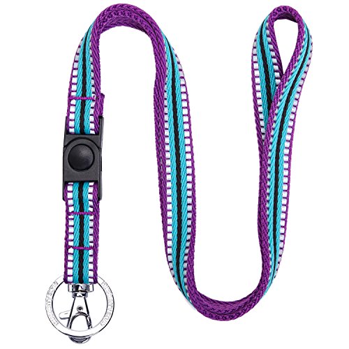Blueberry Pet 3M Reflective Multi-Colored Stripe Violet and River Blue Men Women Fashion Non Breakaway Lanyard Keychain for Keys/ID Card/Badge Holder, 3/4" Wide