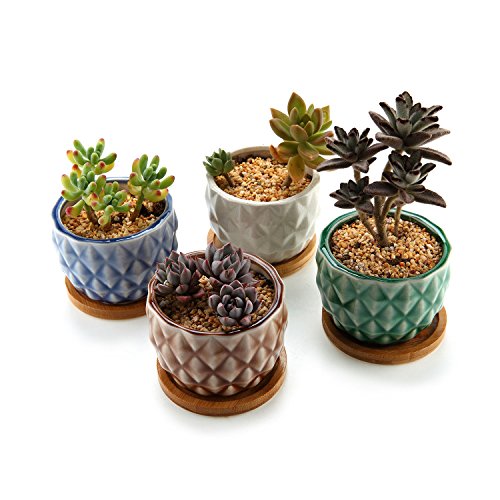 T4U 3 Inch Ceramic Pineapple Succulent Cactus Planter Pot Set with Bamboo Saucer Pack of 4, Home and Office Decoration Desktop Windowsill Bonsai Pots Gift for Wedding Birthday Christmas