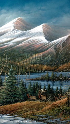 Wild Wings(MN) Master of the Valley Pinnacle Print by Terry Redlin