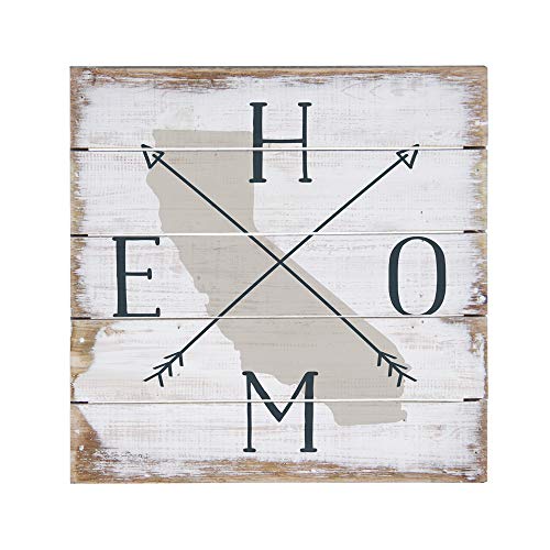 Sincere Surroundings PET12768 Home State Arrow 8 x 8, White
