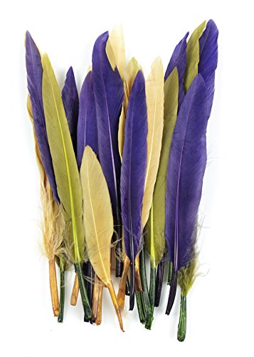 Midwest Design Touch of Nature 38291 24-Piece Mini Indian Feathers Nouveau Mardi Gras Mix for Crafting, 3-Inch, Medium Olive/Eggplant/Gold