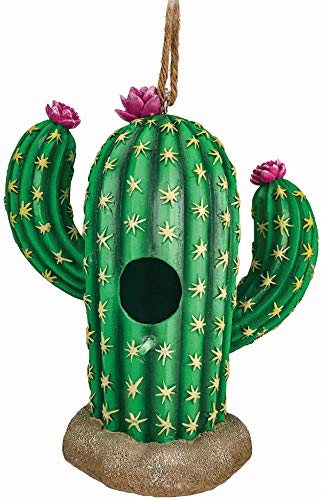 Spoontiques 10165 Cactus Birdhouse, Green