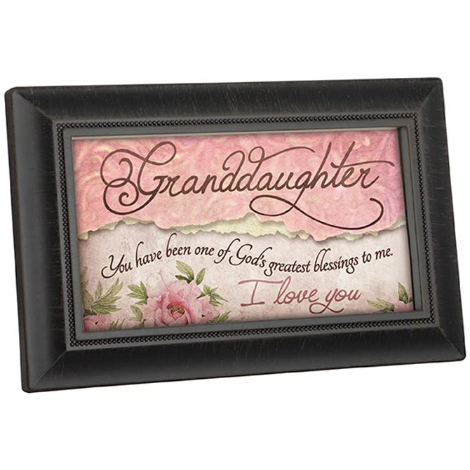 Carson Home Accents Granddaughter Framed Message Bar, 4-inch Height, Resin