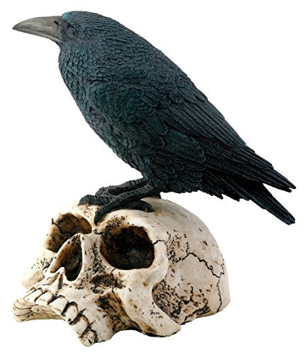 Pacific Trading Raven on Skull Collectible Bird Crow Skeleton Figurine Statue Model