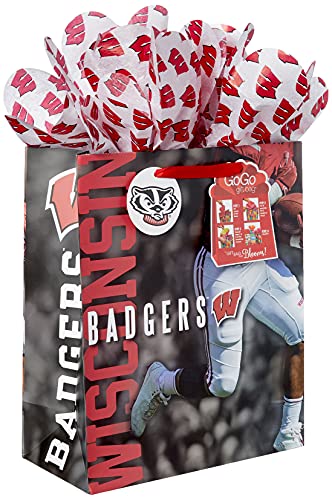 LANG Turner Licensing Wisconsin Badgers Large Gift Bag GoGo, MULTI