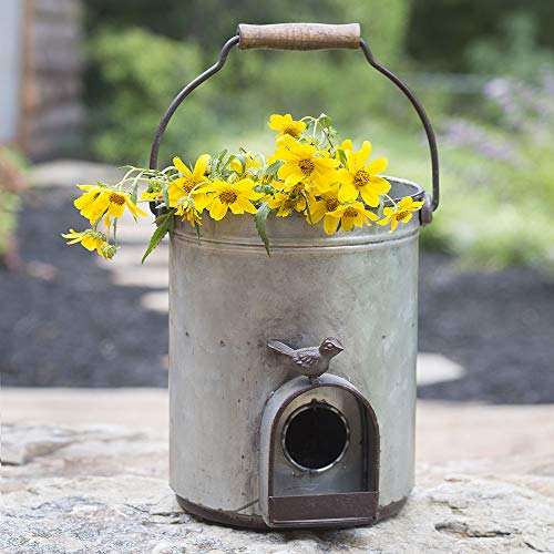 CTW Home Collection Bucket Birdhouse Planter