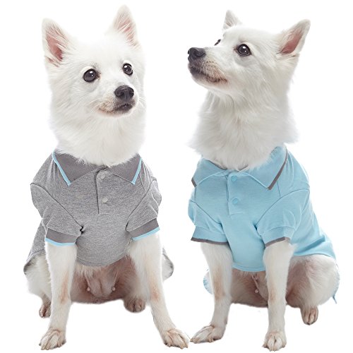 Blueberry Pet Pack of 2 Back to Basic Cotton Blend Dog Polo Shirts in Sky Blue and Light Grey, Back Length 14", Clothes for Dogs