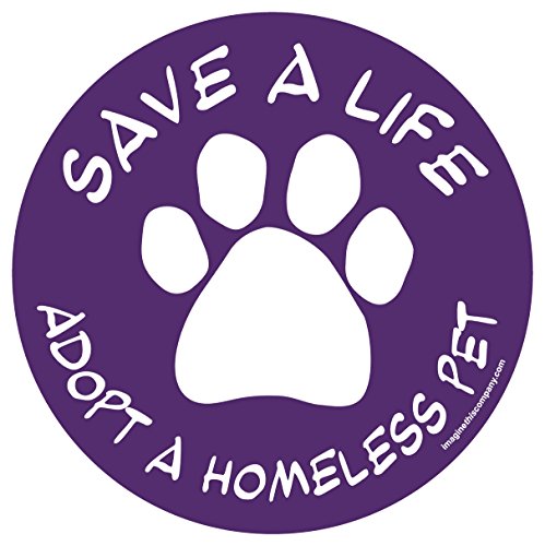 Imagine This Company D1960 Car and Rescue Decal (Save A Life: Adopt Homeless Pet), 2 Pack