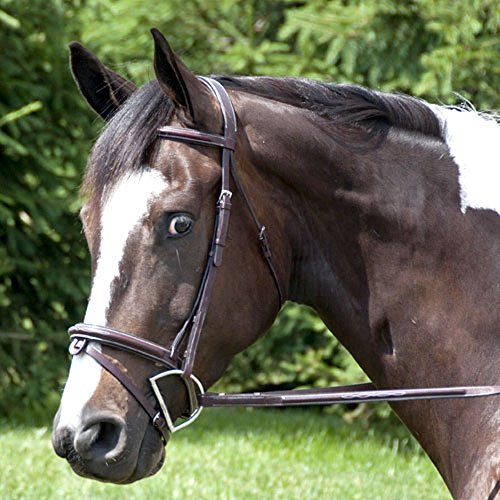 Intrepid International Exselle Elite High Raised Fancy Stitched Bridle, Oversize, Dark Havana