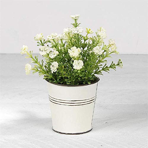 Blossom Bucket 201-70141 White Flowers in White Metal Pot, 6-inch Height