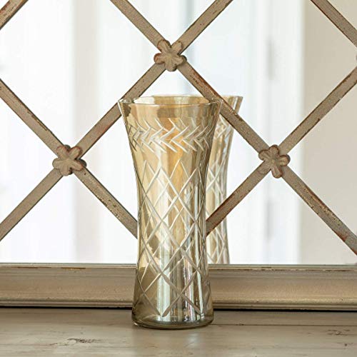 Park Hill Collection ECL00098 Smokey Glass Etched Vase, 7-inch Height