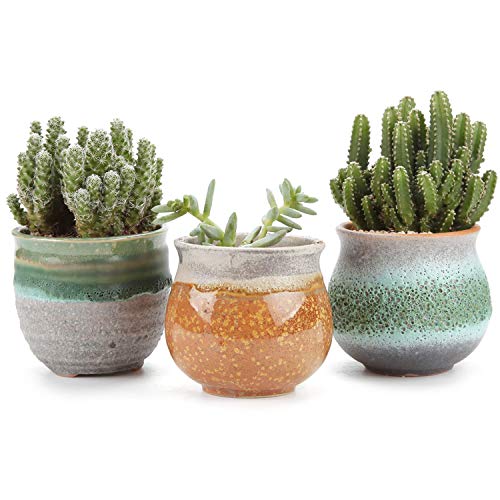 T4U 2.5 Inch Small Succulent Planter Pots with Drainage Hole Set of 3, Sagging Glazed Porcelain Handicraft for Home Office Table Desk Decoration Christmas Gift for Mom Aunt Sister Daughter Gardener