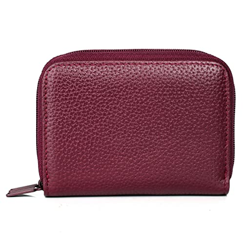 JYS Enterprise Julia Buxton Hudson Pik-Me-Up¬Æ Wizard Wallet Red