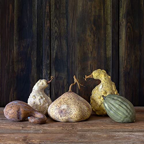 Park Hill Collection FBY00309 Moonlight Gourds, Set of 5, Styrofoam and Plastic