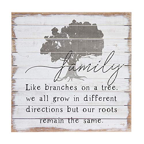 Sincere Surroundings PAL1261 Family, White