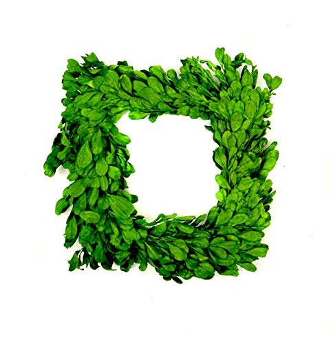 Midwest Design Square Natural Preserved Boxwood 12 inch Wreath, 1pc