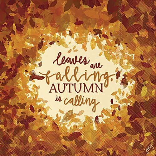 Boston International IHR Floral Fall Autumn Thanksgiving 3-Ply Paper Napkins, 20-Count Cocktail Size, Autumn Is Calling