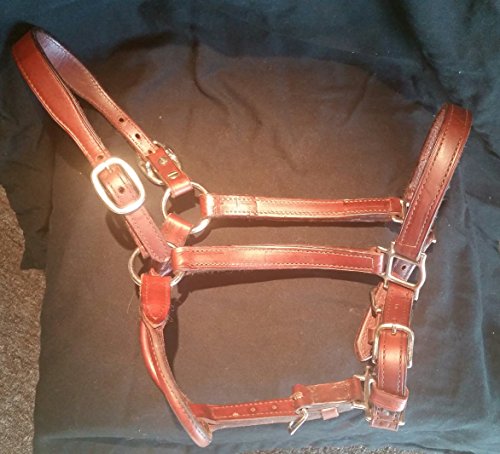 HORZE Champion Snaffle Show Bridle - Tan - Warmblood