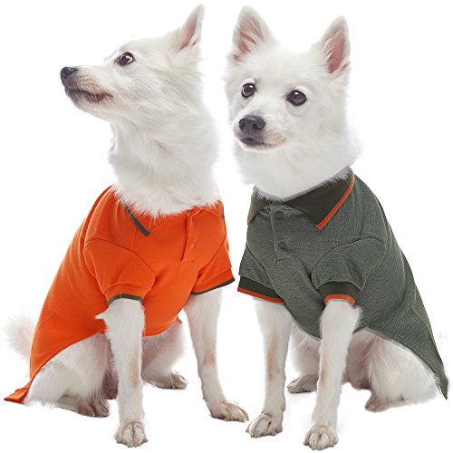 Blueberry Pet Pack of 2 Back to Basic Cotton Blend Dog Polo Shirts in Orange and Olive Green, Back Length 14", Clothes for Dogs