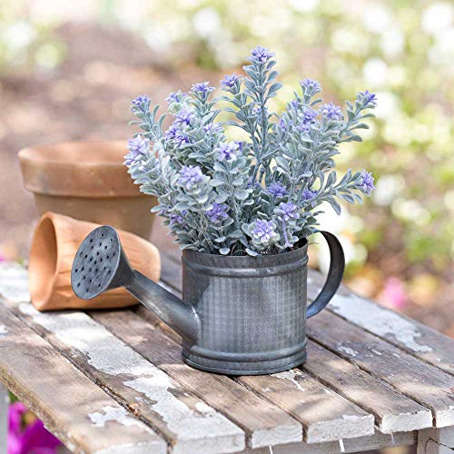 CTW Home Collection Mini Watering Can
