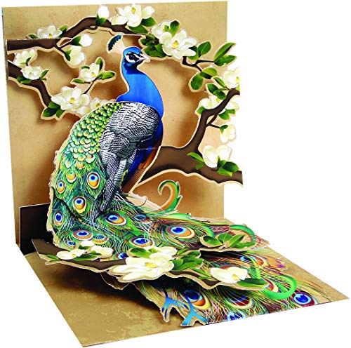 Up With Paper 1 X Pop - Up Greeting Card (Peacock and Magnolias)