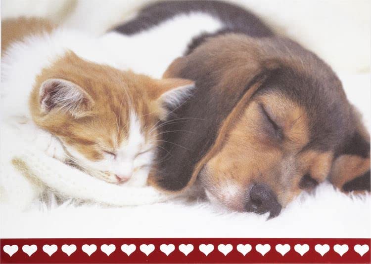 Design Design 100-79536 Puppy And Kitty Sleeping Valentines Greeting Card