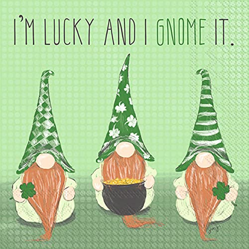 Boston International IHR 3-Ply Paper Napkins, 20-Count Cocktail Size, Lucky Gnomes