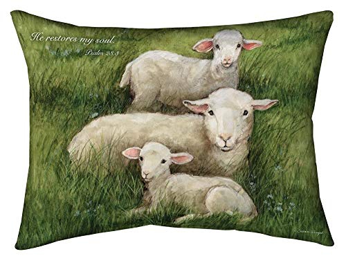 Manual Pillow-His Sheep/He Restores My Soul-Psalm 23:3 (18" x 13")