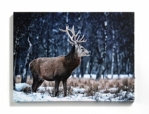 Giftcraft 682006 Christmas LED Canvas Print, Reindeer, 15.74 inch, Medium Density Fiberboard and Canvas