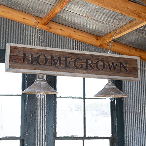 Park Hill Collection ELH92600 Homegrown Light Fixture, 18-inch Height