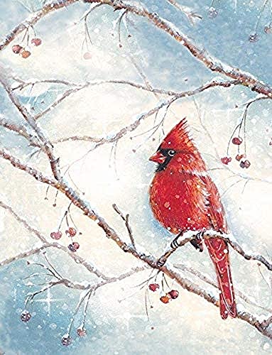 Cardinal in a Berry Bush Holiday Cards Christmas Cards Set of 20 by Design Design