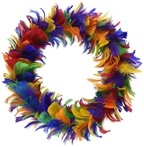 Beistle Feather Wreath (rainbow) Party Accessory  (1 count)