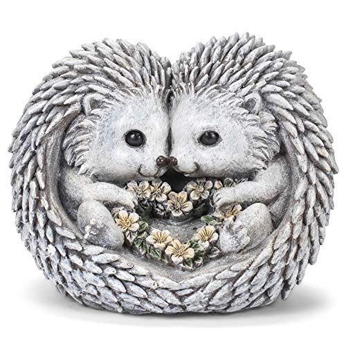 Roman Pudgy Hedgehog Love