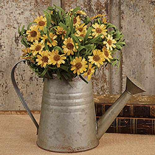 Country House Collection 30559 Watering Can, 11-inch Height, Tin
