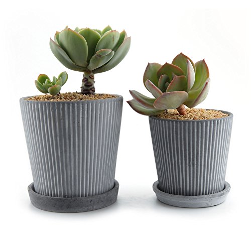 T4U Cement Succulent Planter Pots with Saucer Pack of 2, Modern Line Design Cactus Plant Flower Pot Container Gift for Mom Sister Best for Home Office Restaurant Table Desk Window Sill Decoration