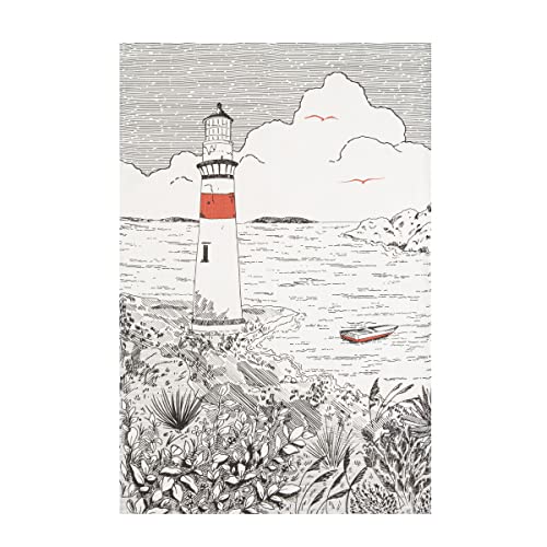 Coucke 1CKE Phare GRIS to 50X75 METIS