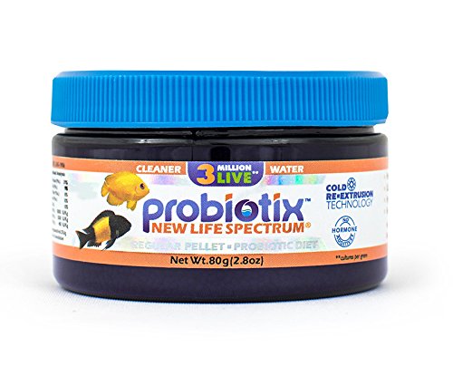New Life International Probiotix Regular 80g (Naturox Series)