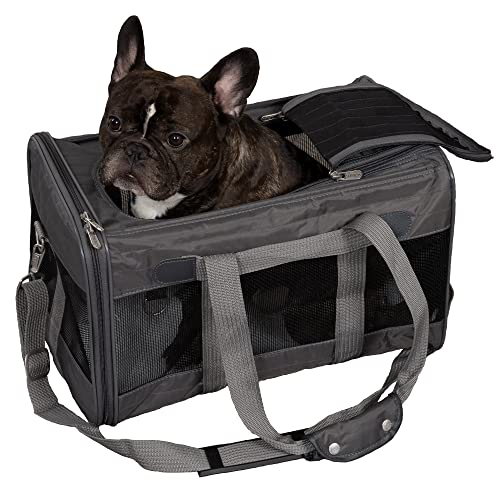 Worldwise Sherpa Travel Original Deluxe Airline Approved Pet Carrier, Charcoal, Large (Frustration Free Packaging)