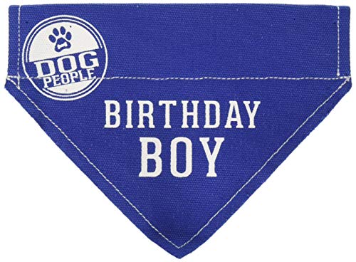 Pavilion Gift Company Blue Small Dog Slip-On Collar Canvas Bandana Birthday Boy, 7x5 Inch