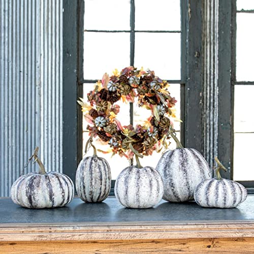 Park Hill Collection FBY90687 Farmhouse Artificial Pumpkins, Set of 5, Styrofoam and plastic